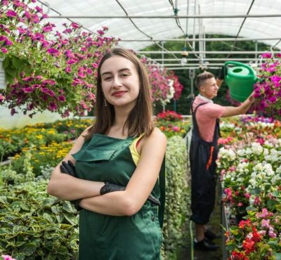 como criar um site elementor wordpress website facil elsalvadorwp 1 5