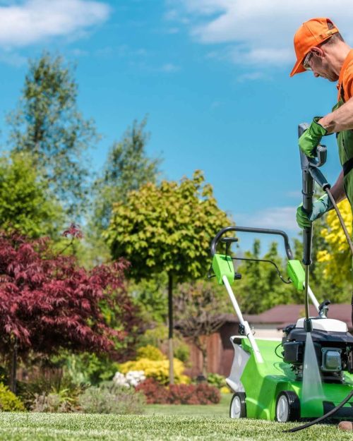 como criar um site elementor wordpress website facil elsalvadorwp 23