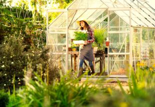 como criar um site elementor wordpress website facil elsalvadorwp 7 3